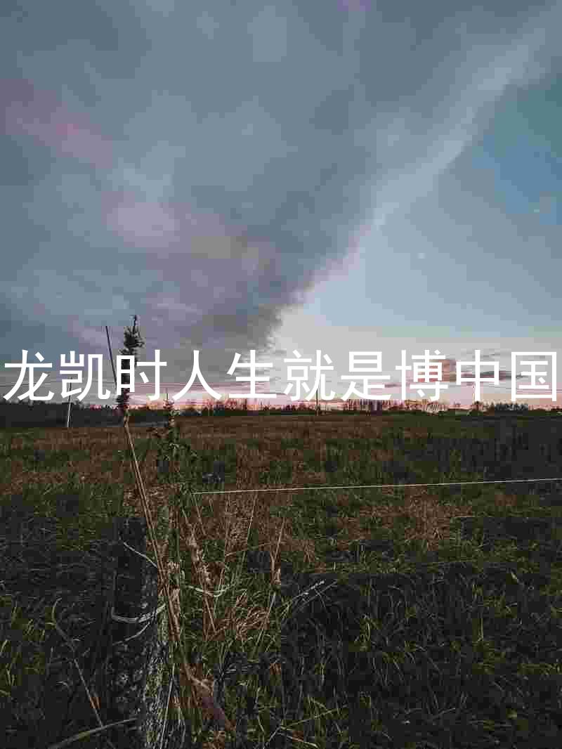 尊龙凯时人生就是博中国区