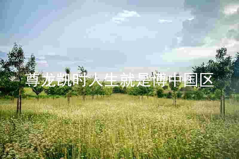 尊龙凯时人生就是博中国区