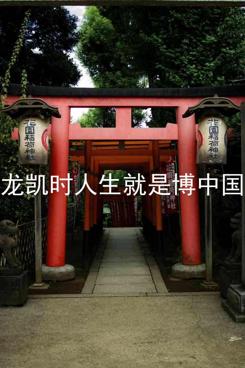 尊龙凯时人生就是博中国区