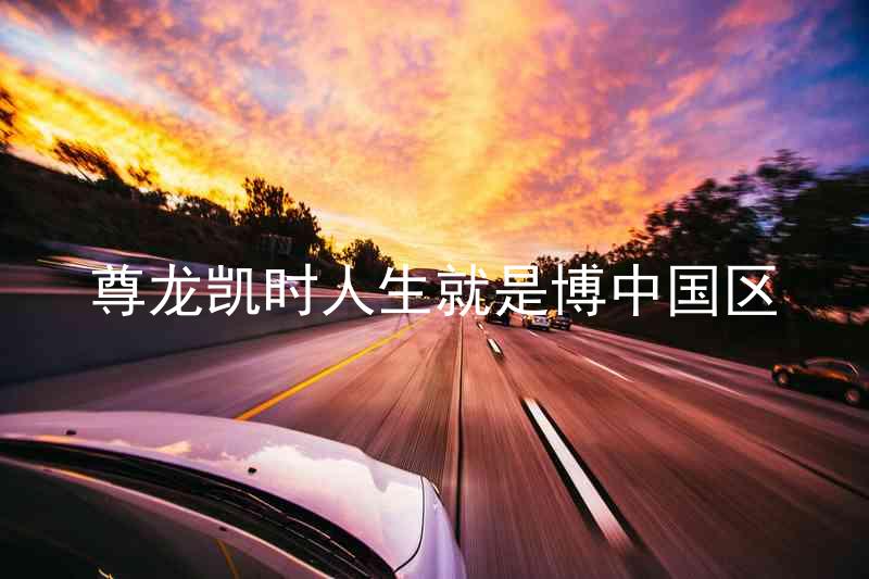 尊龙凯时人生就是博中国区